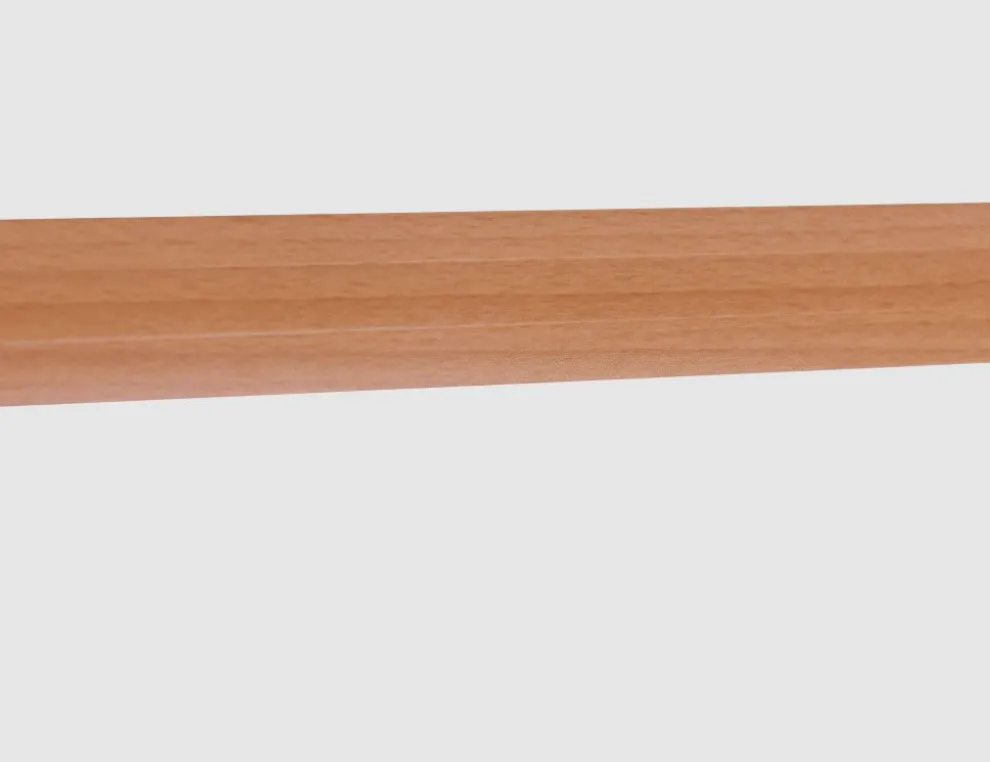 Übergangsschiene