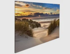 Bild Dünenlandschaft