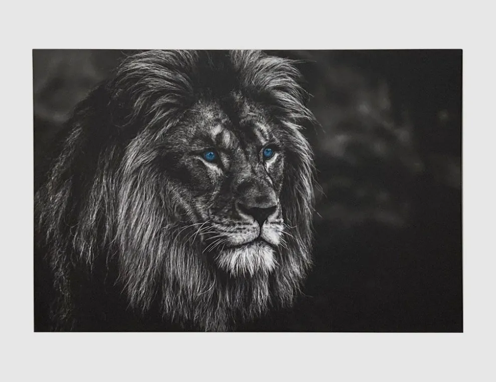 Bild Löwe Blaue Augen I