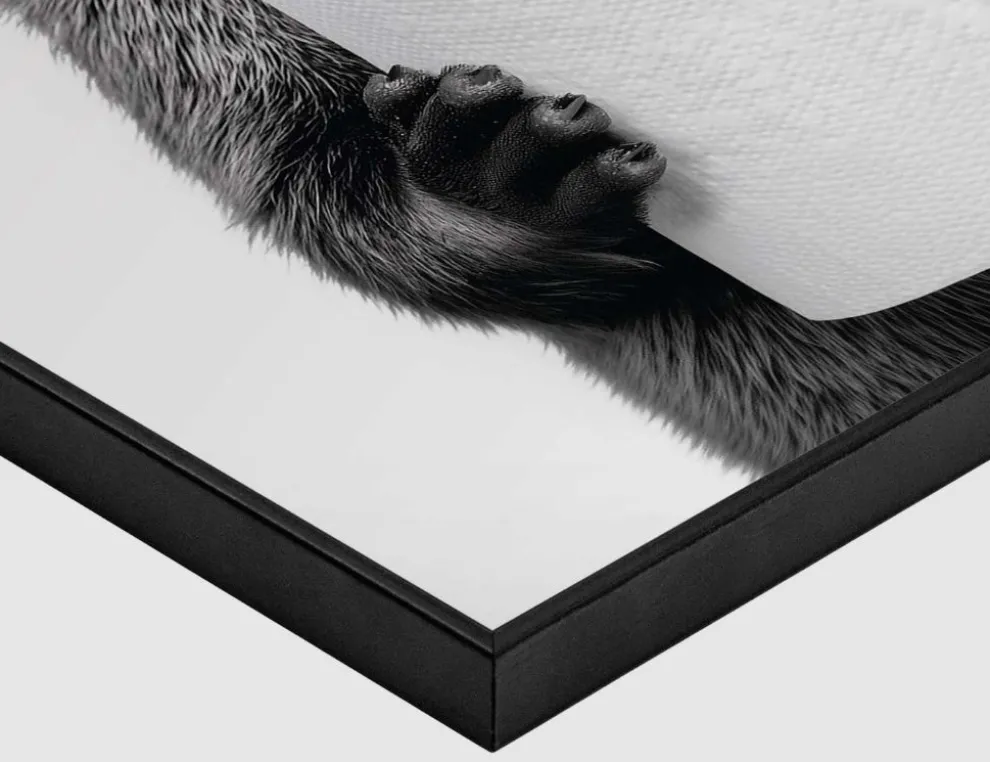 Bild Slim Frame Black Holdem 30x40cm