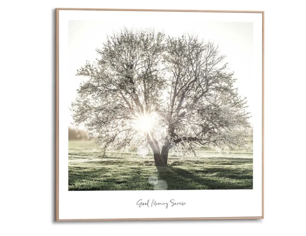 Bild Slim Frame Wood Morgensonne