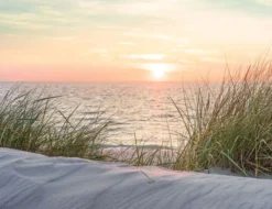 Fototapete Vlies Strandabend