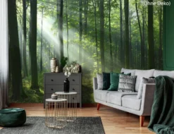 Fototapete Vlies Waldlichtung