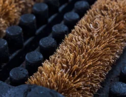 Fußmatte Robusta