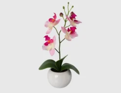 Kunstblume Orchidee