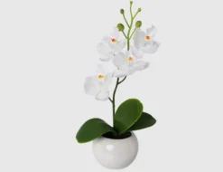 Kunstblume Orchidee