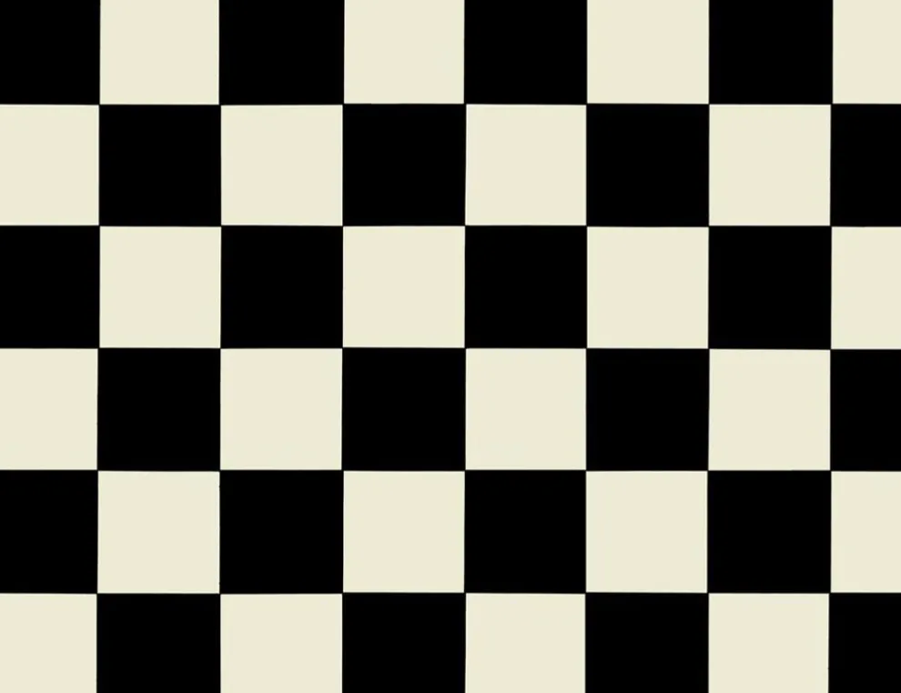 PVC Altenburg Schwarz-Weiß