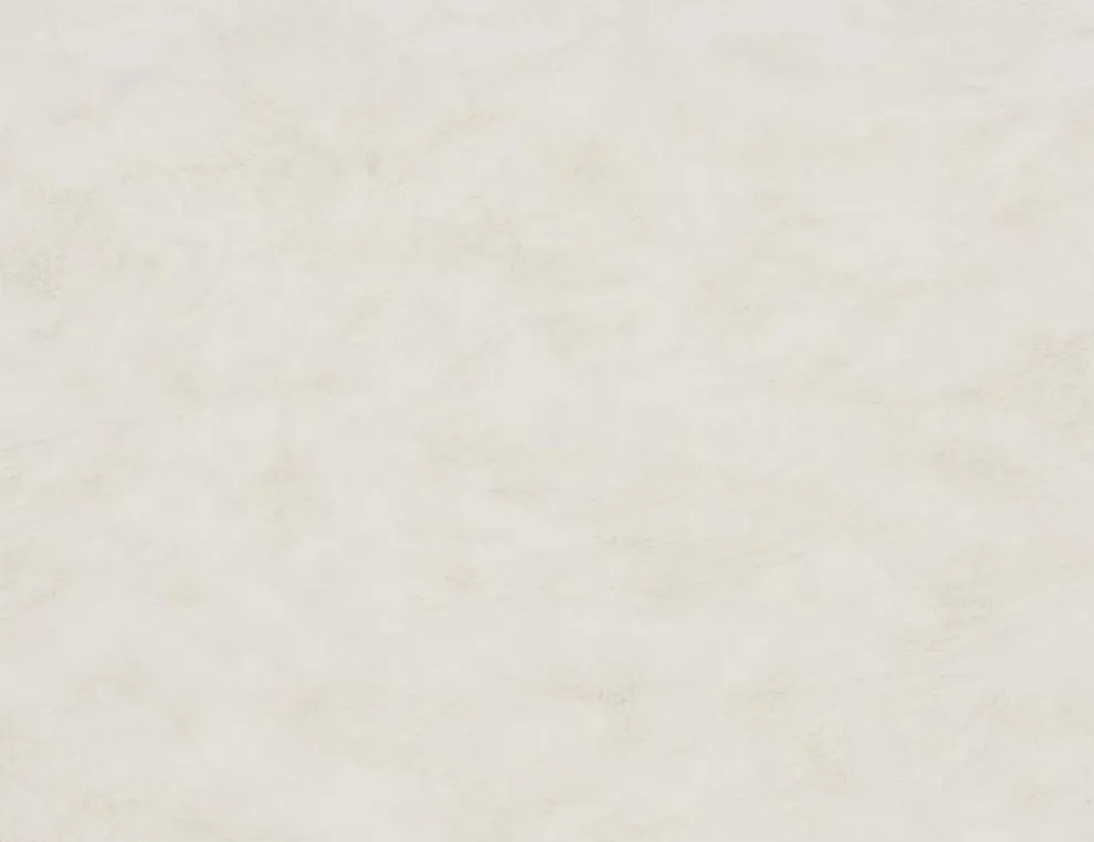 Vliestapete Uni Beige