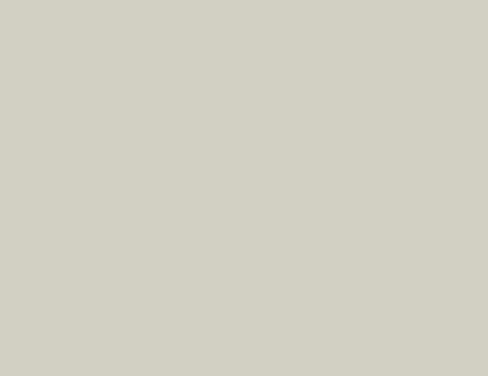 Vliestapete Uni Pur Beige