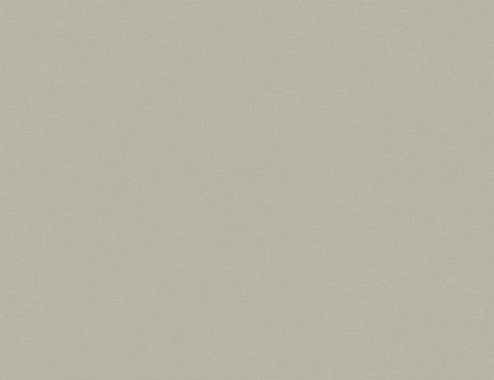 Vliestapete Uni Taupe
