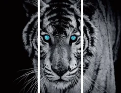 Wand Deko Tiger
